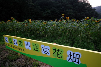 情報芸術センター夜 004.JPG