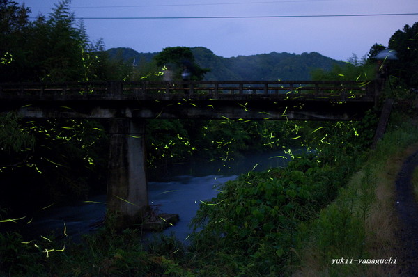 木屋川05.jpg