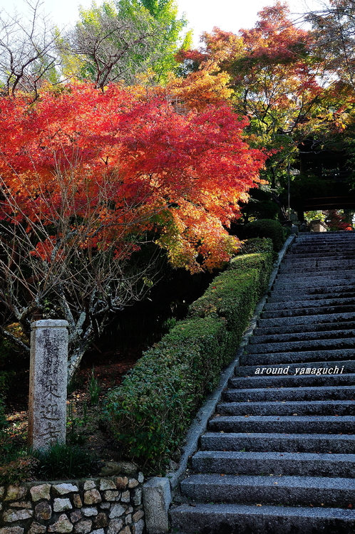 来迎寺01.jpg