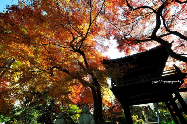 来迎寺01.jpg
