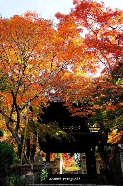 来迎寺01.jpg