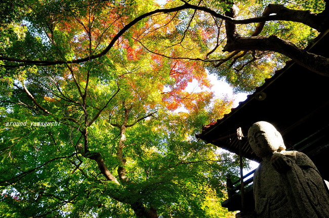 来迎寺02.jpg