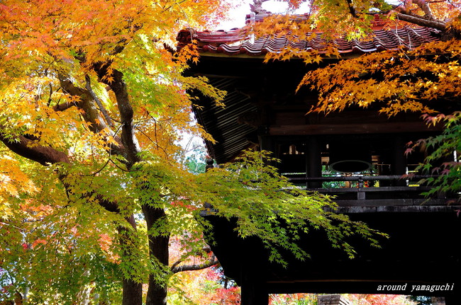 来迎寺02.jpg
