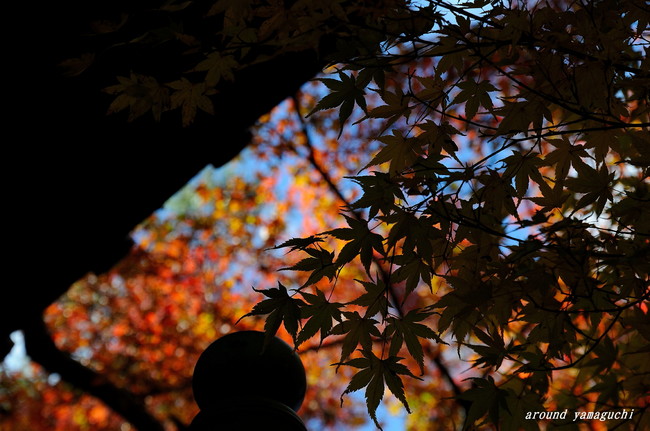 来迎寺03.jpg
