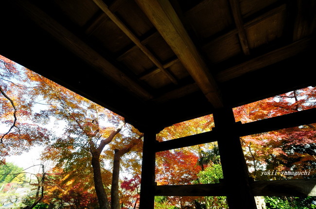 来迎寺03.jpg