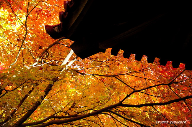来迎寺04.jpg