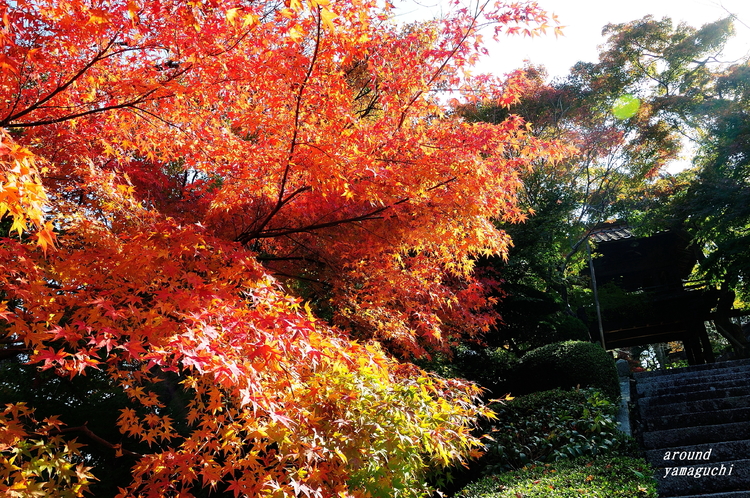 来迎寺05.jpg