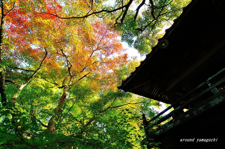 来迎寺08.jpg