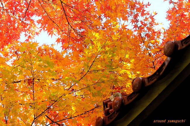 来迎寺09.jpg
