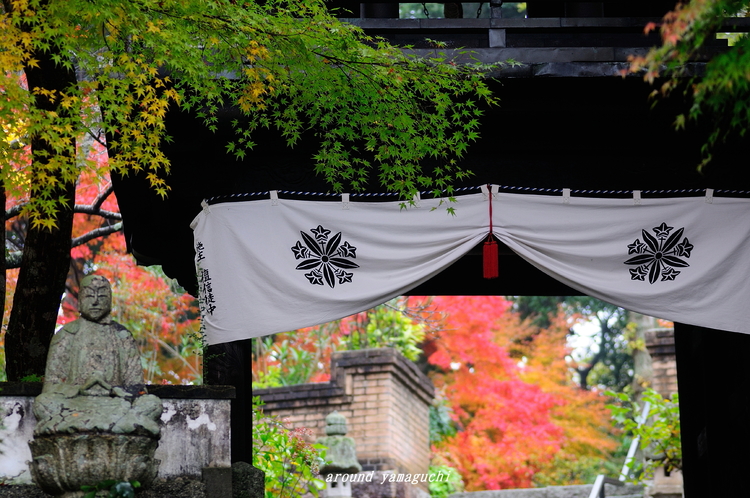 来迎寺2nd06.jpg
