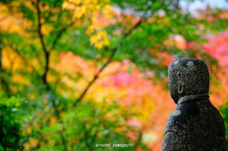 来迎寺2nd07.jpg