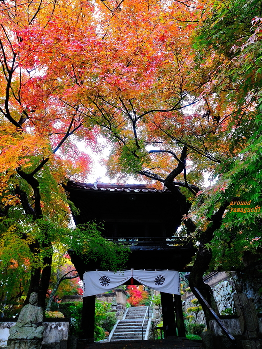 来迎寺2nd21.jpg