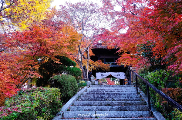 来迎寺ラスト01.jpg
