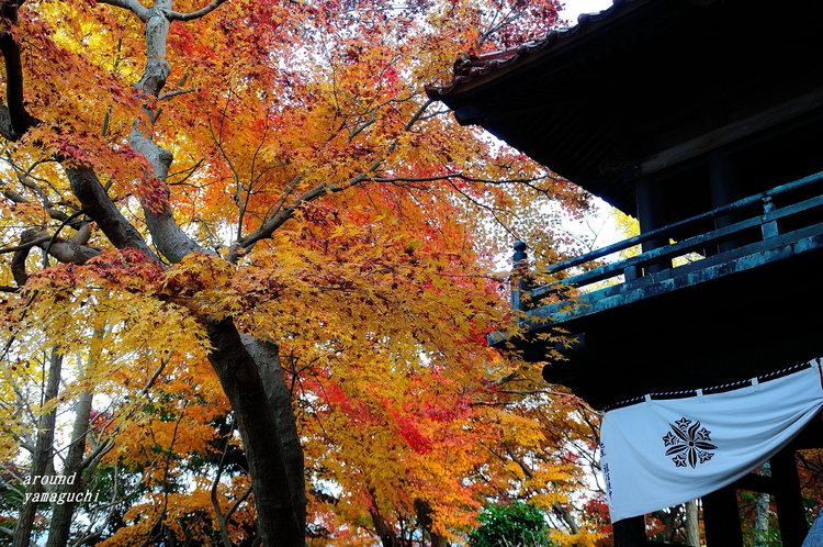 来迎寺ラスト02.jpg