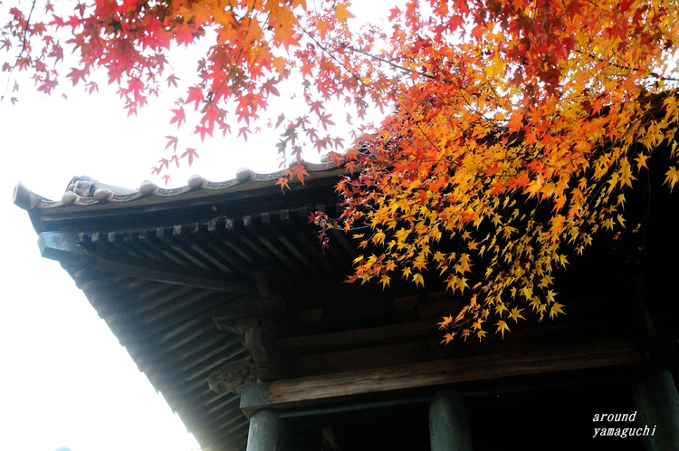 来迎寺ラスト04.jpg