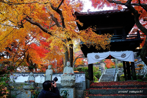 来迎寺ラスト09.jpg