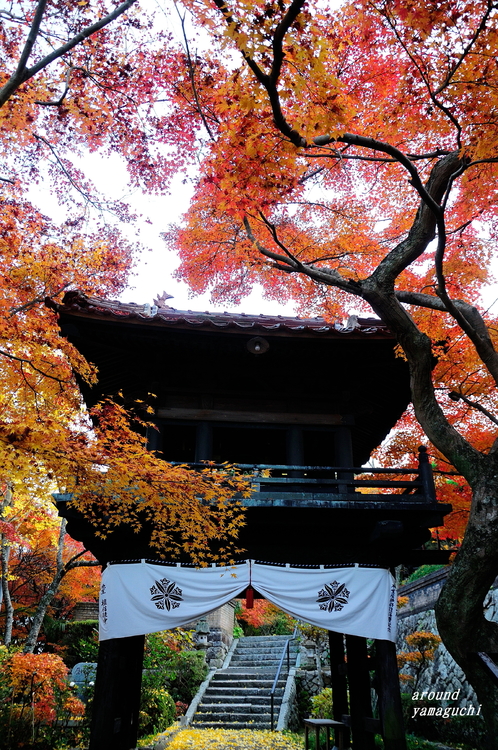 来迎寺ラスト10.jpg