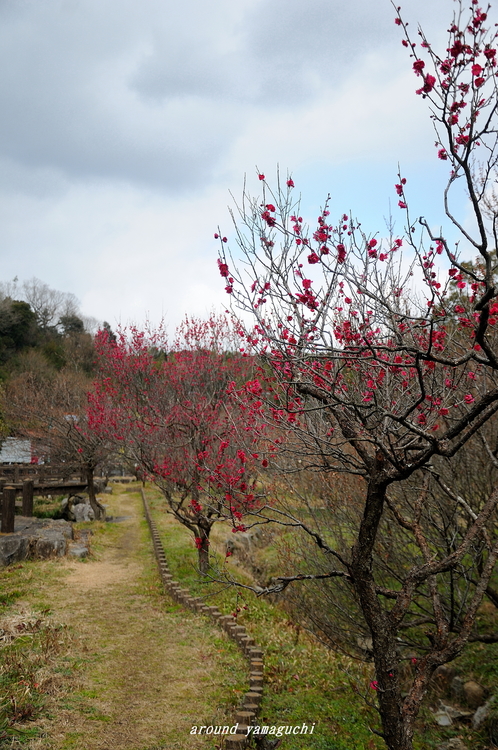 東行庵01.jpg