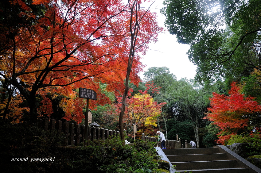 東行庵03.jpg