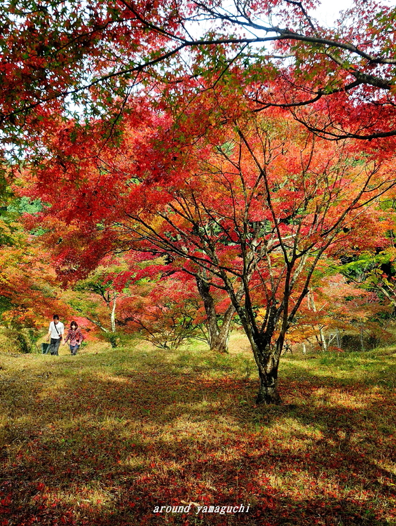 東行庵09.jpg