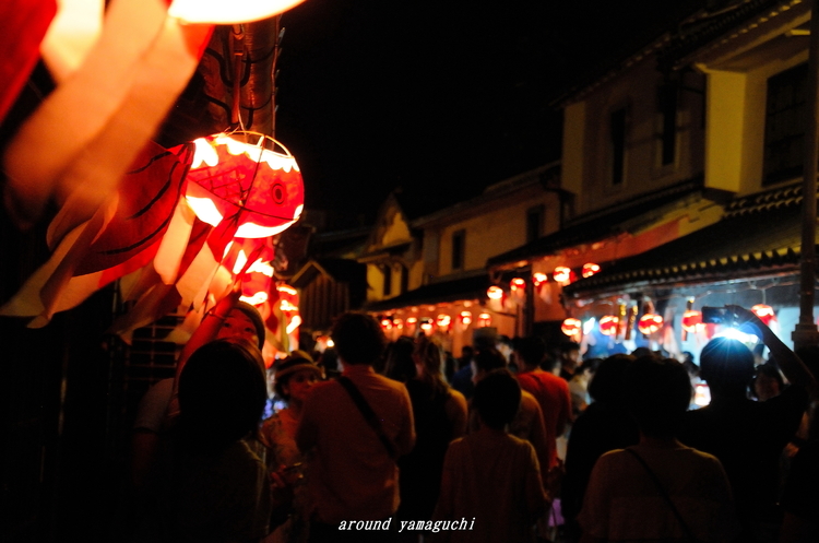 柳井金魚夜07.jpg