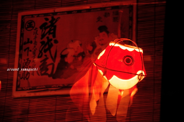 柳井金魚夜17.jpg