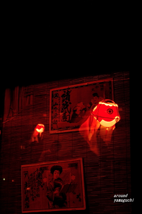柳井金魚夜19.jpg