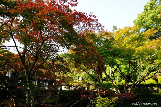 毛利氏庭園01.jpg