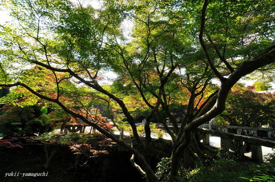 毛利氏庭園02.jpg