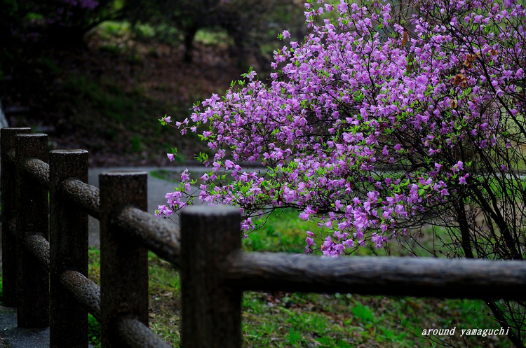 江汐公園01.jpg