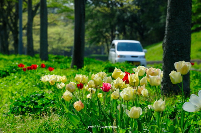 江汐公園01.jpg