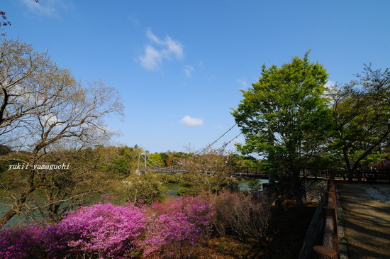 江汐公園01.jpg