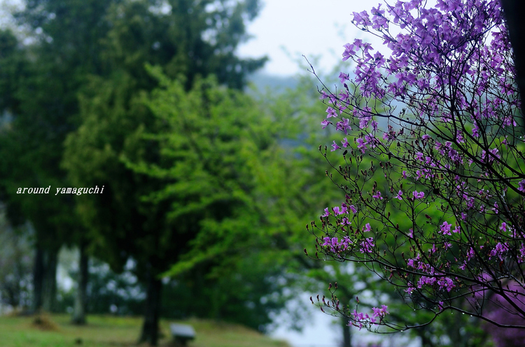江汐公園02.jpg