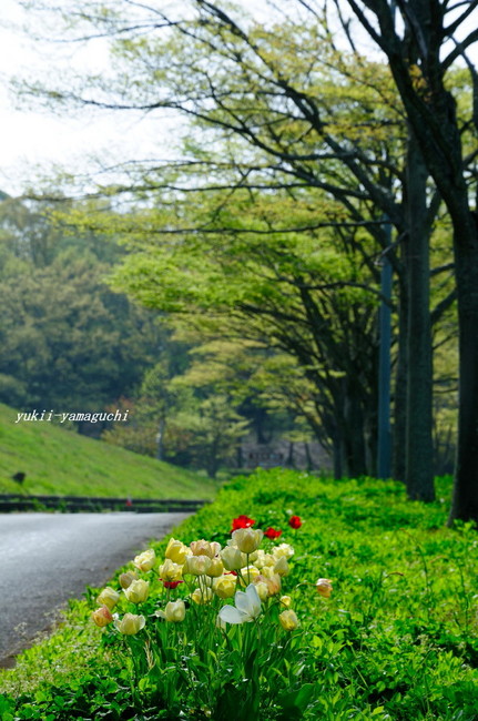 江汐公園02.jpg