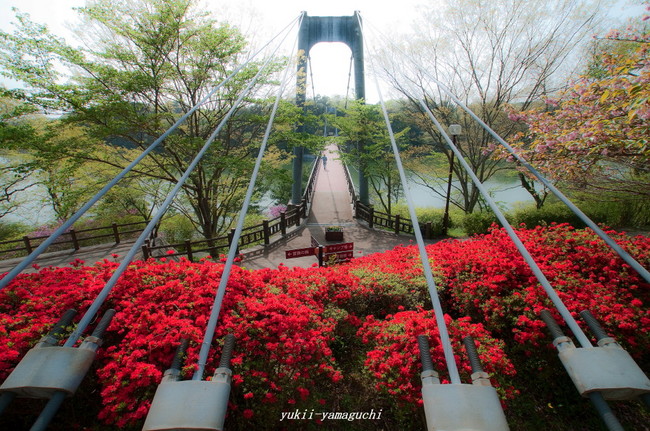 江汐公園03.jpg
