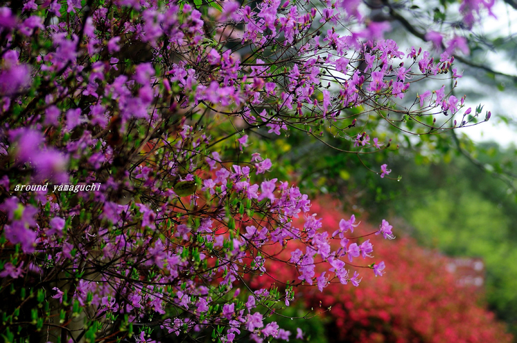 江汐公園03.jpg