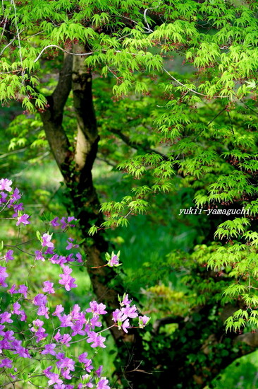 江汐公園03.jpg