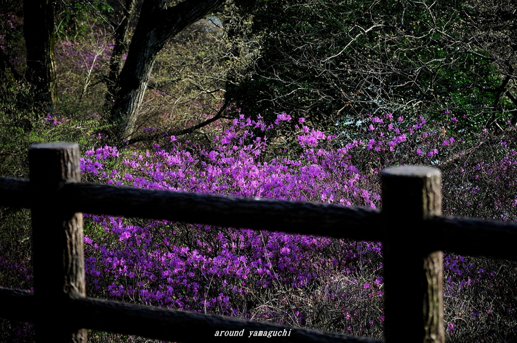 江汐公園04.jpg