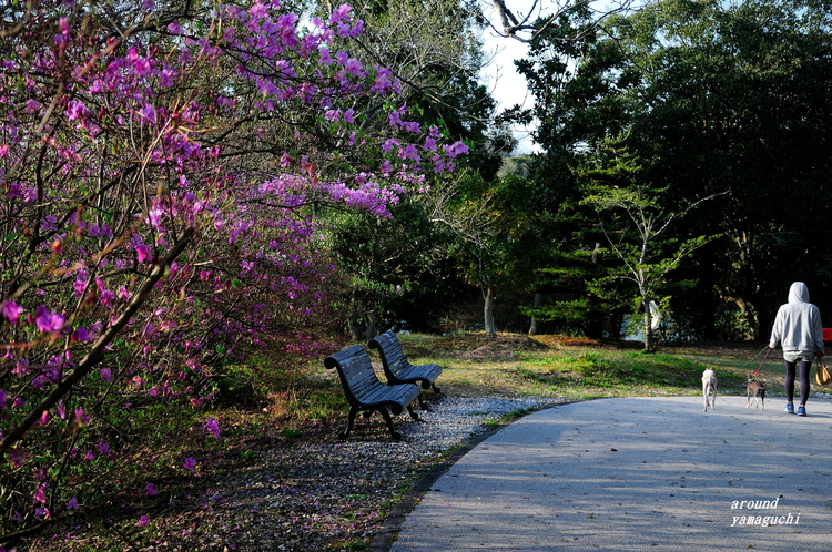 江汐公園05.jpg