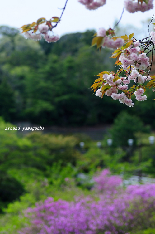 江汐公園06.jpg