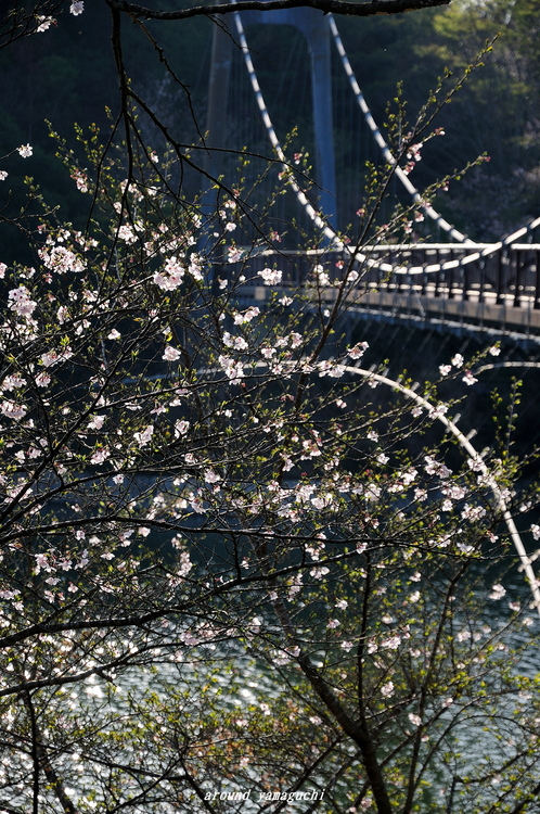 江汐公園06.jpg