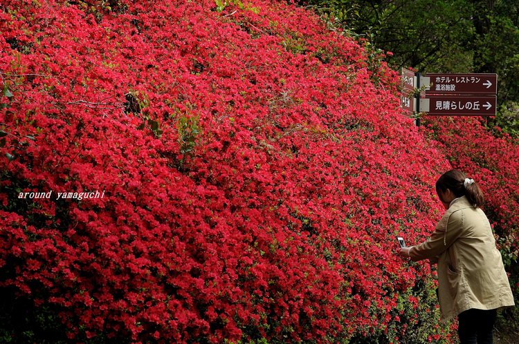 江汐公園09.jpg
