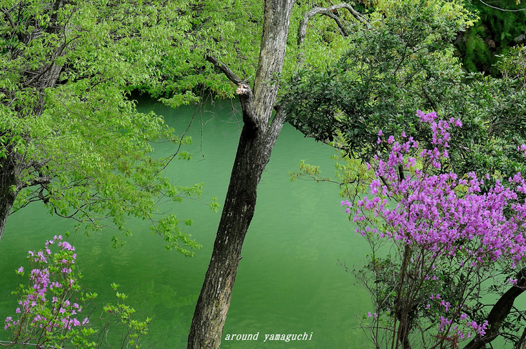 江汐公園10.jpg