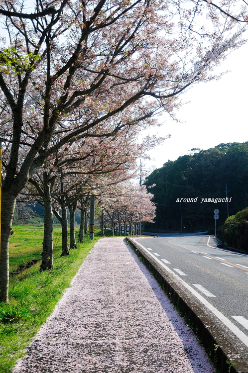 江汐公園11.jpg