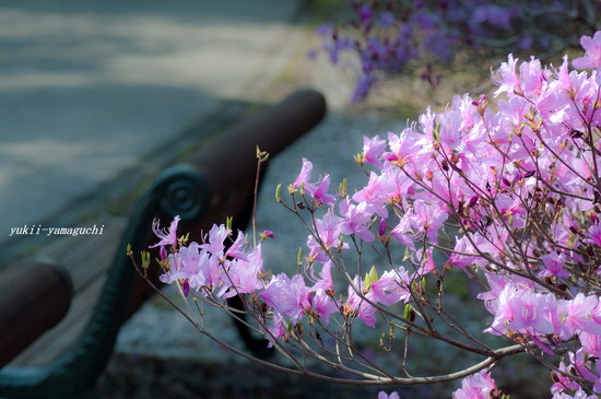 江汐公園16.jpg