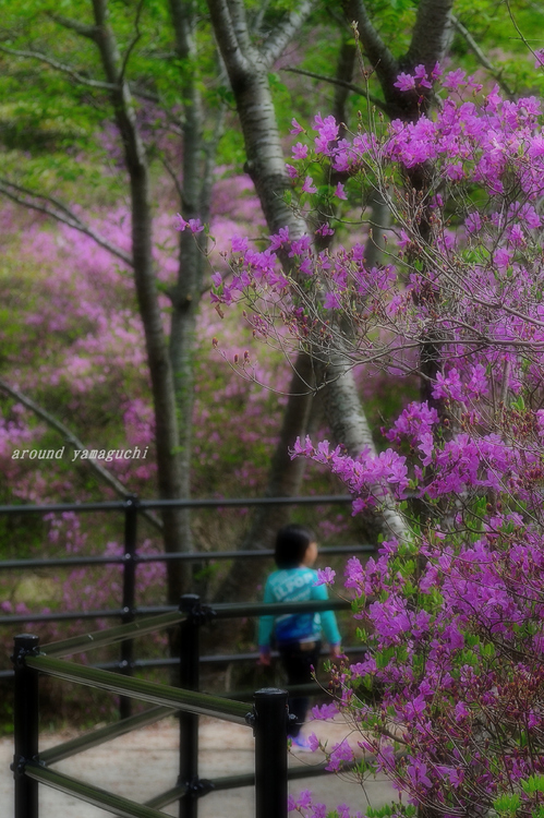 江汐公園18.jpg