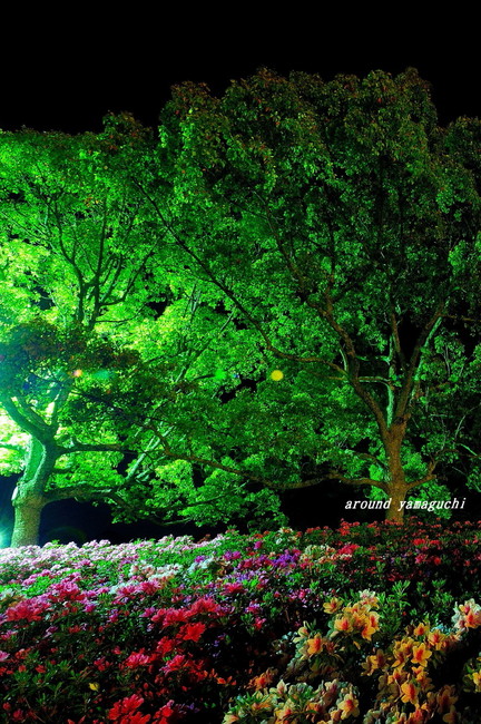 江汐公園夜08.jpg