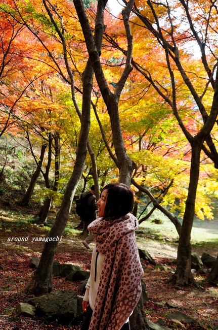 河内藤園紅葉02.jpg