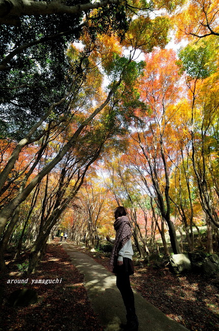 河内藤園紅葉07.jpg
