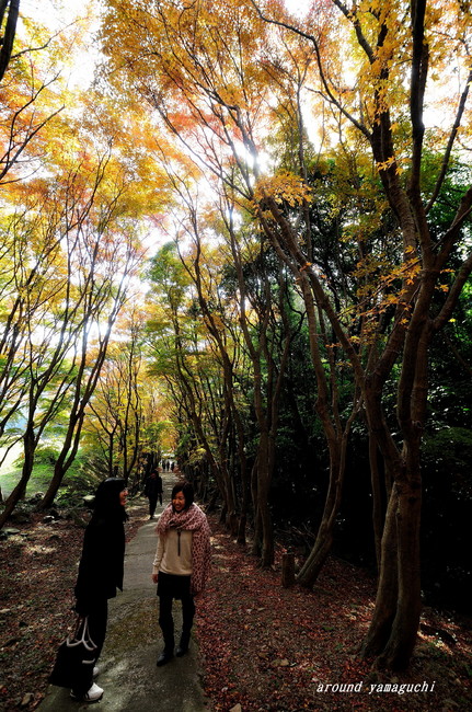 河内藤園紅葉08.jpg